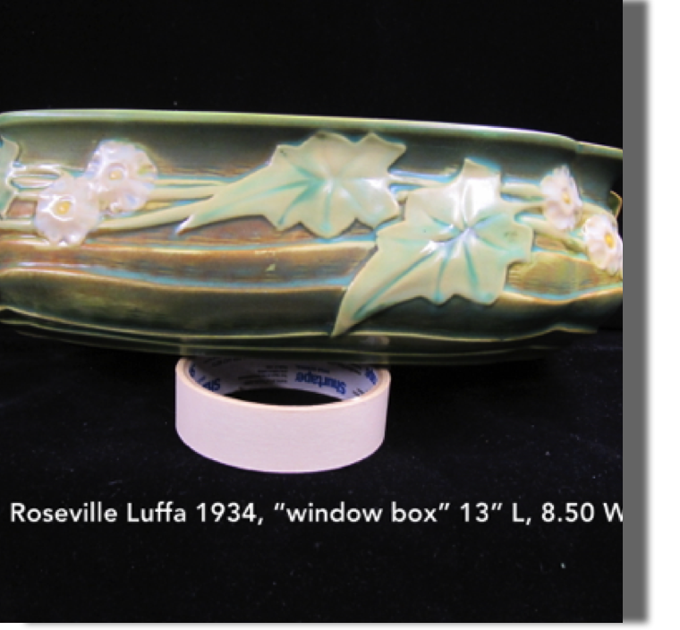 Luffa, 1934 'window box' - 13" long by 8.50" wide, nice color (poor photo)